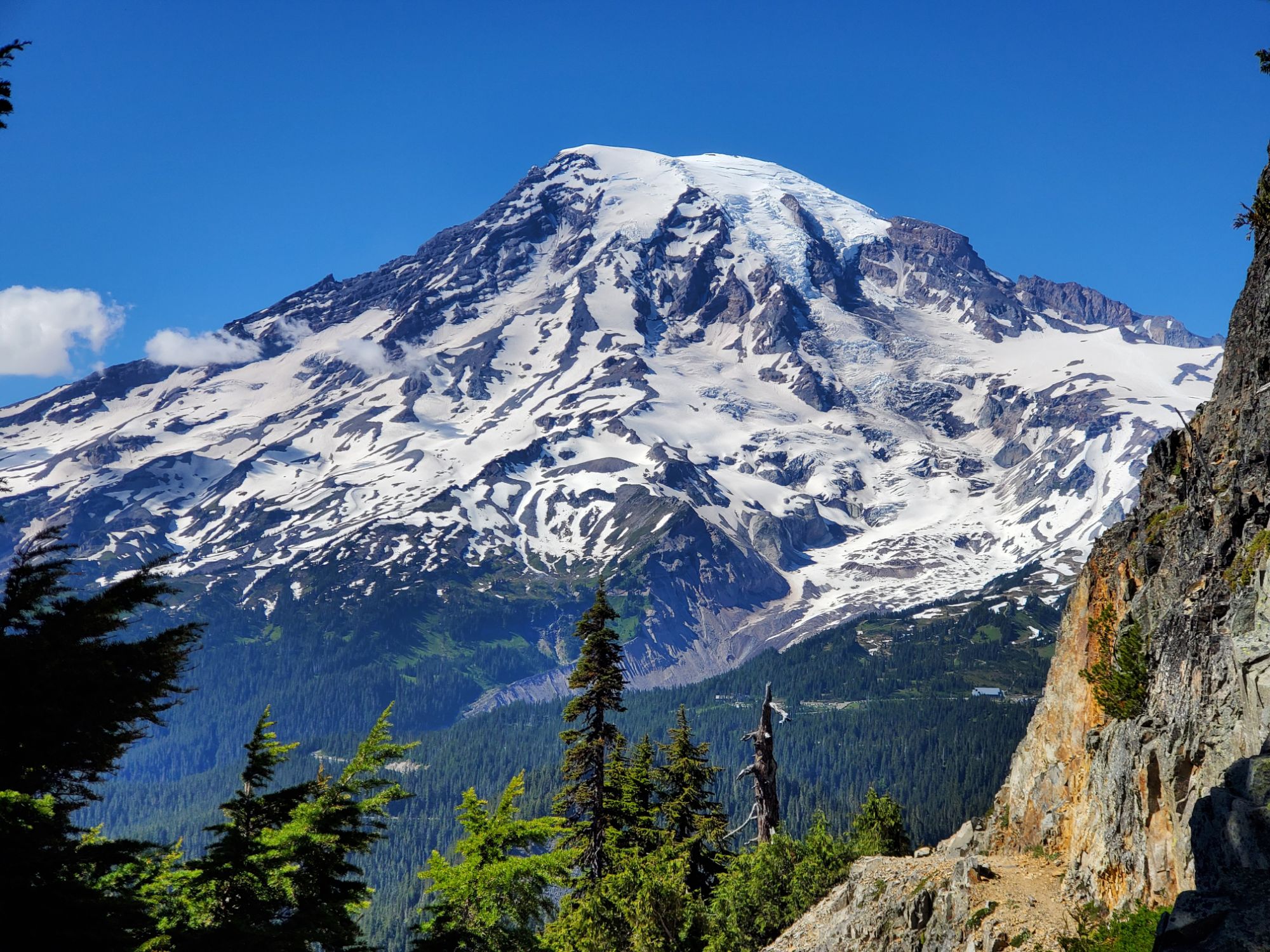 Mount Rainier National Park landscape