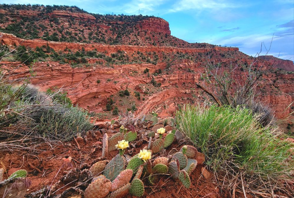 Hildale landscape