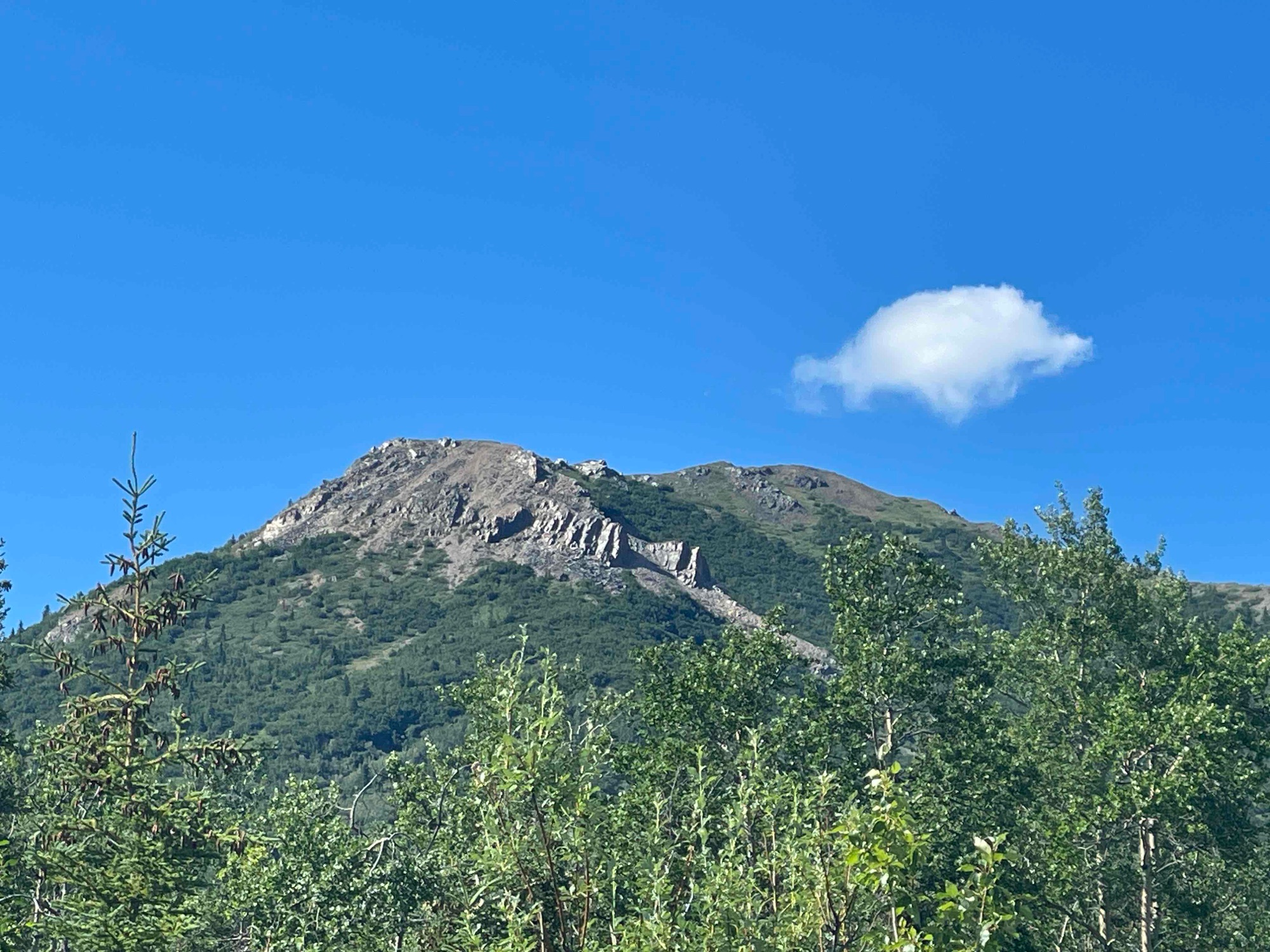 Denali National Park  landscape