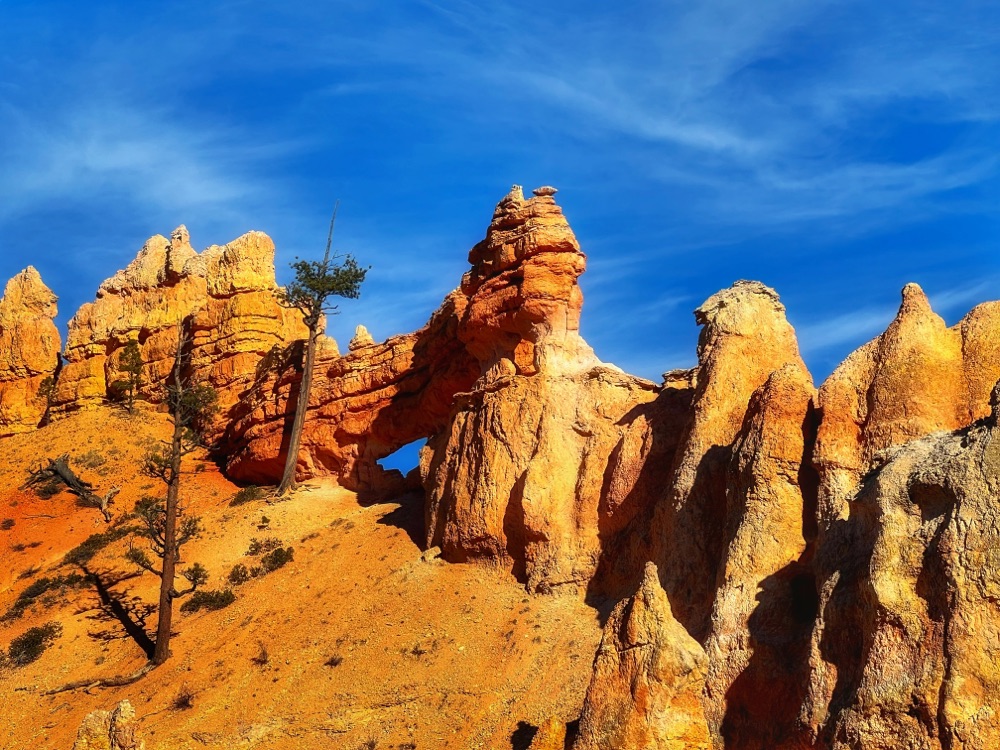 Bryce Canyon National Park landscape