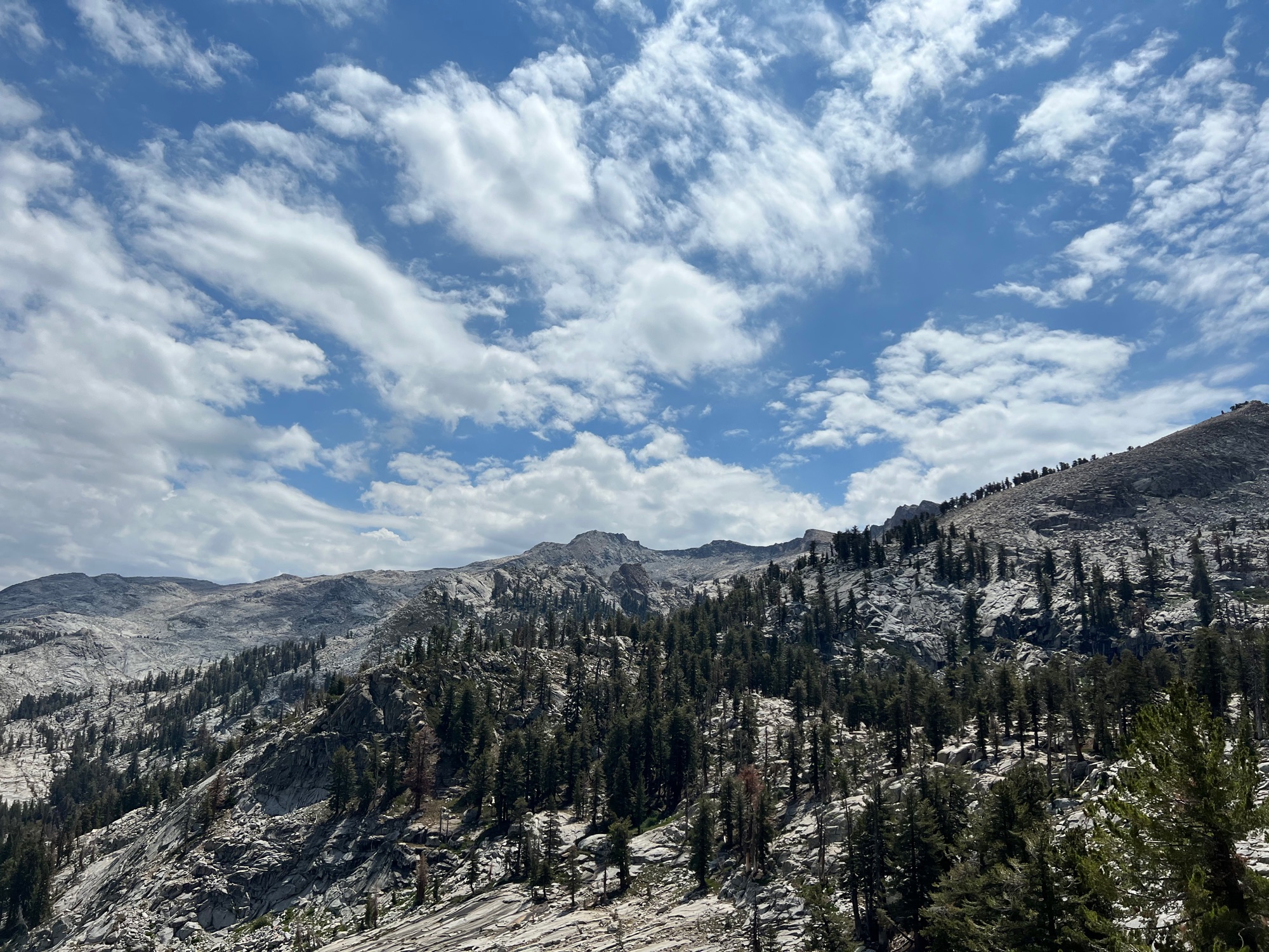 Sequoia National Park landscape