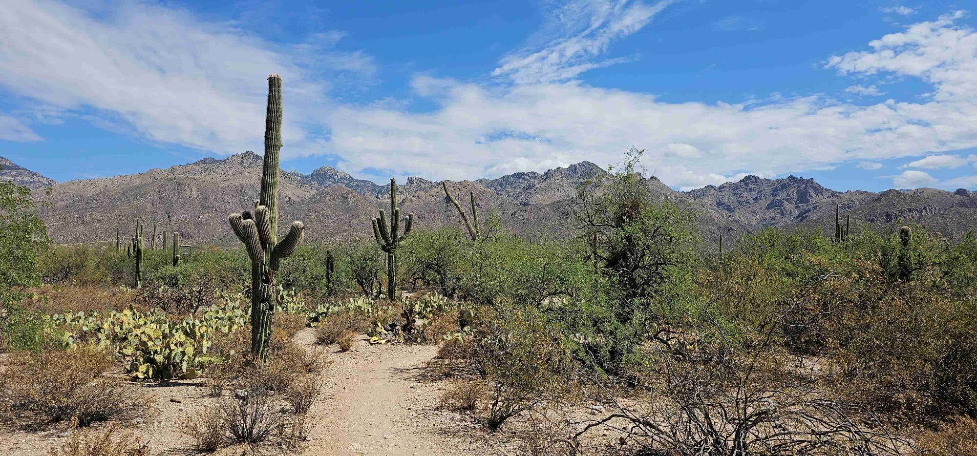 Tanque Verde image tile